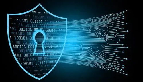 信息時代，維護網絡安全刻不容緩 聚焦網絡與信息安全軟件開發